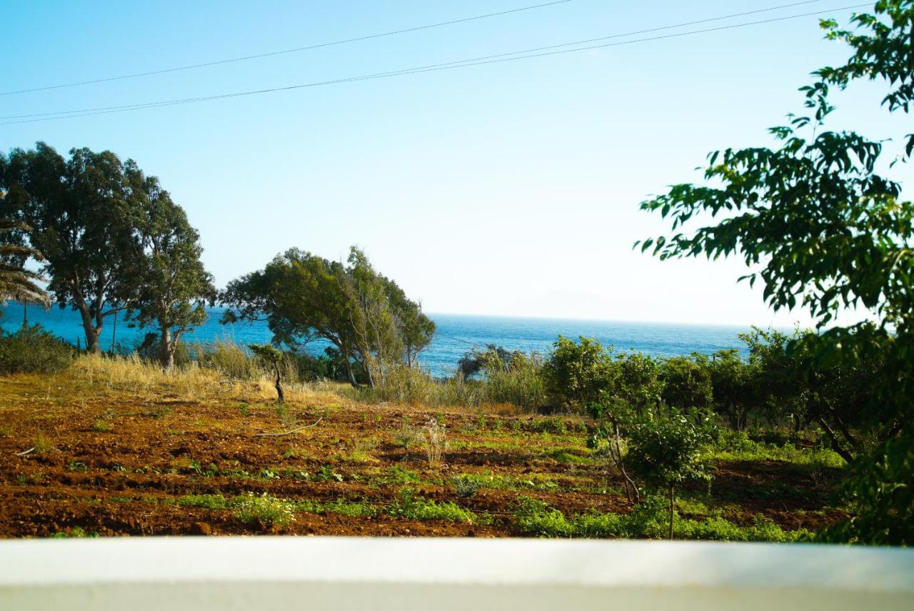 Kathys Island Retreat Aparthotel Adia Ngoại thất bức ảnh