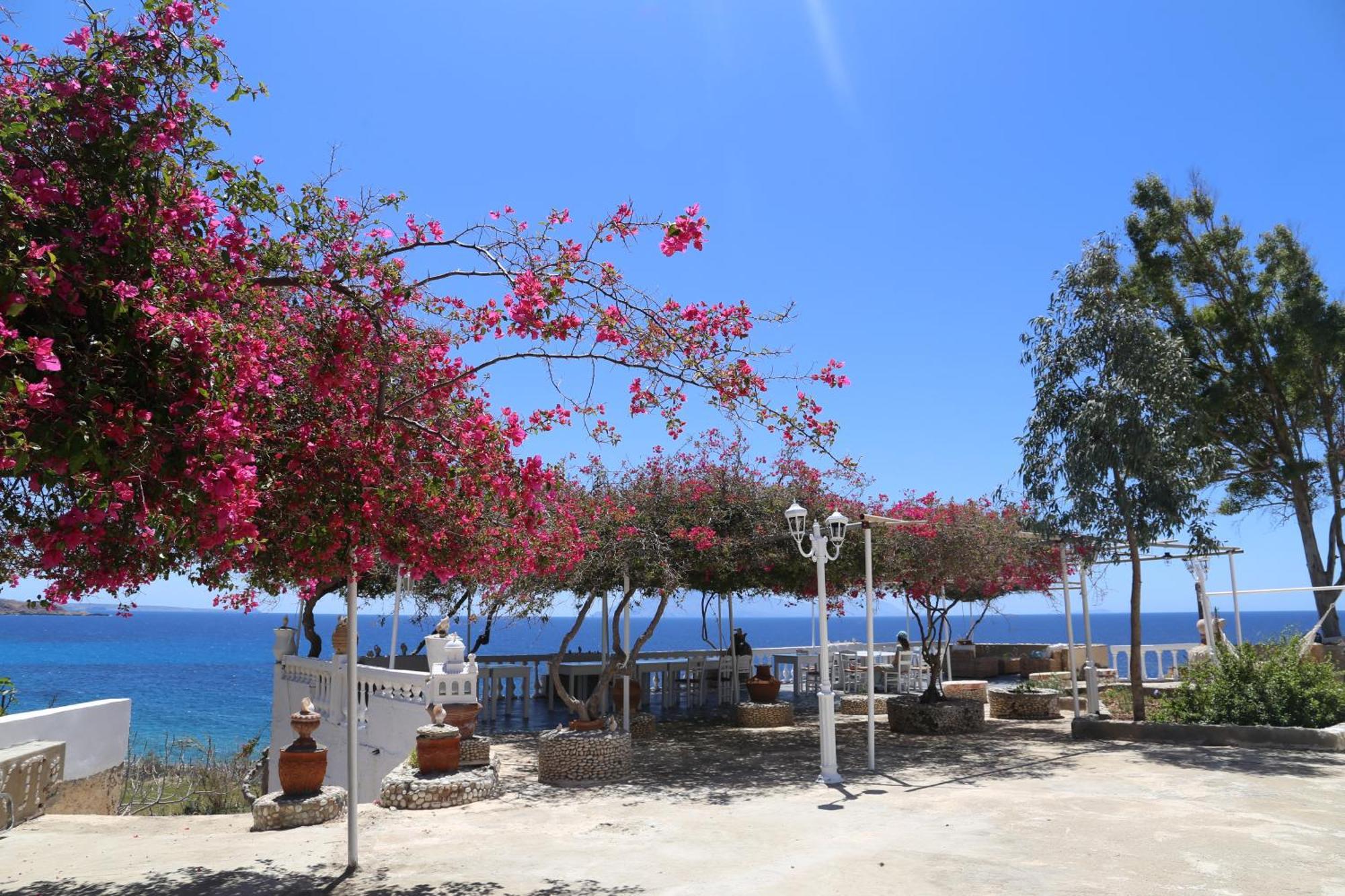 Kathys Island Retreat Aparthotel Adia Ngoại thất bức ảnh